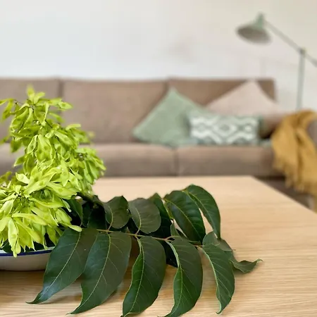 度假居 El Cipres De *