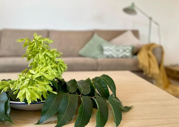 Holiday home El Cipres De *